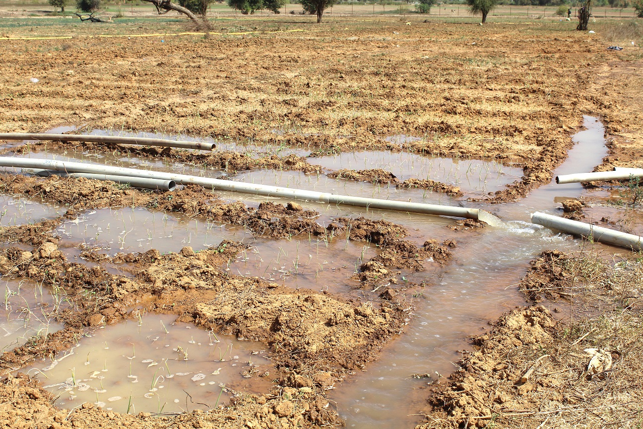 MECANISME LOCAL FACILITY BURKINA FASO