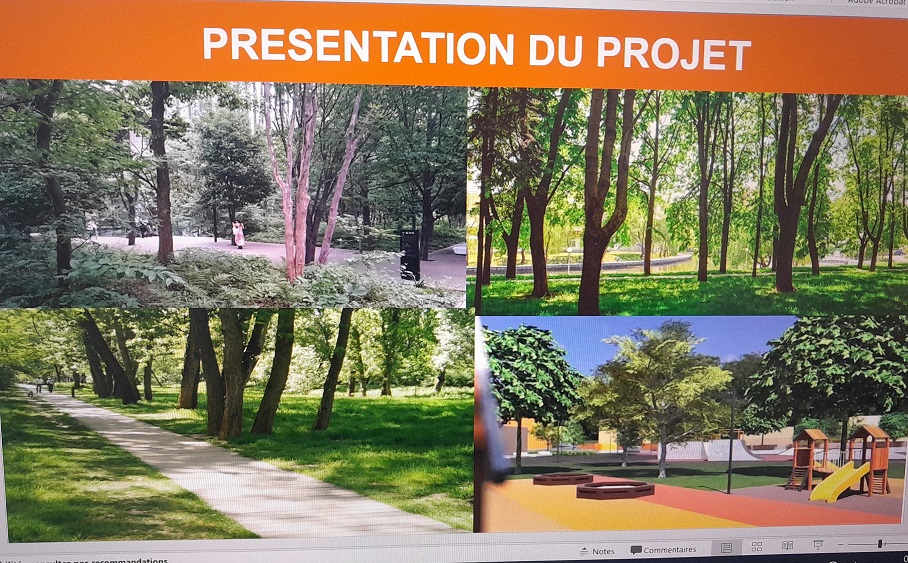 presentation bosquet